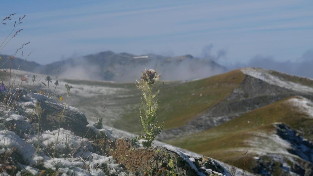 Le Prince Des Cimes Leilighet Les Arcs  Eksteriør bilde